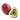 guava